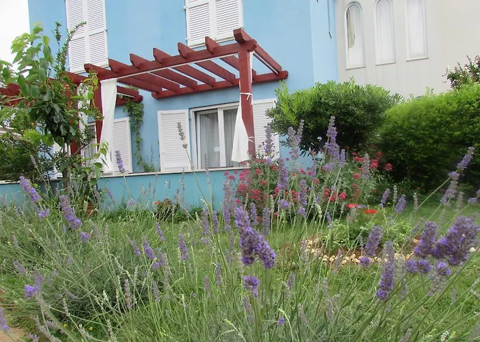 酒店 Manora 内里吉恩