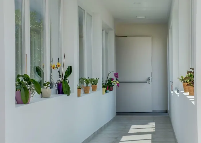 酒店 Manora 内里吉恩